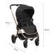 Cărucior Kikka Boo 3 &icirc;n 1 Vicenza Premium Black 143197 foto 10