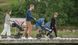 Cărucior Lionelo Annet Plus Blue LN.101425 foto 10