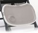 Стульчик для кормления Baby Design Penne 07 Gray RZ-00003701 фото 2