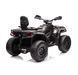 Электрический квадроцикл 4x4 Can-Am Outlander Black CA005/4 фото 4