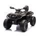 Электрический квадроцикл 4x4 Can-Am Outlander Black CA005/4 фото 1
