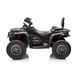 Электрический квадроцикл 4x4 Can-Am Outlander Black CA005/4 фото 6
