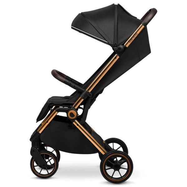 Коляска Lionelo Cloe Black Onyx LN.107149 фото
