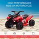 Квадроцикл с аккумулятором Red JS320/1 фото 4