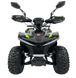 Квадроцикл электрический E-HAWK 6, 1500Вт Black/Green 6854251 фото 1
