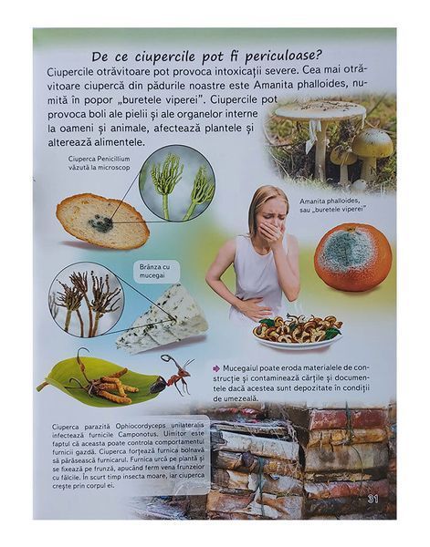 Enciclopedia elevului (&icirc;ntrebări și răspunsuri) 43943 foto