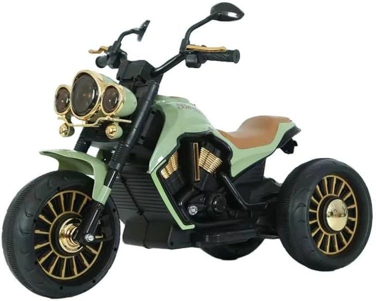 Motocicletă electrică JE - 302 Green JE302 foto