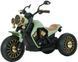 Motocicletă electrică JE - 302 Green JE302 foto 2