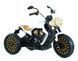 Motocicletă electrică JE - 302 White JE302 foto 1