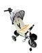 Регулируемый трехколесный велосипед Baby Sport D2410-1915 фото 1